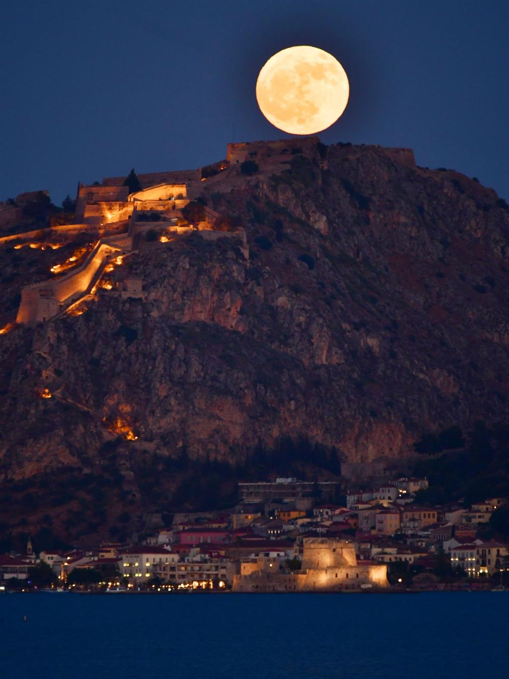 ΠΑΝΣΕΛΗΝΟΣ ΤΟΥ ΕΛΑΦΙΟΥ