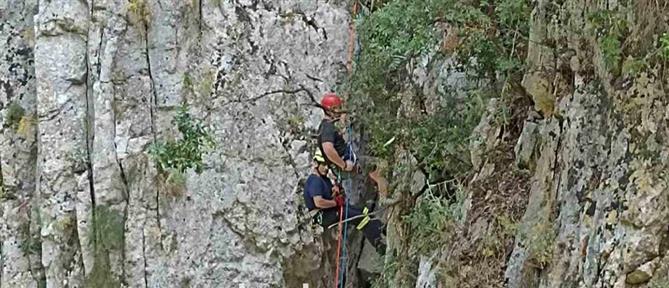 Φαράγγι της Σαμαριάς - Αγνοούμενος 21χρονος: Έρευνες και με ελικόπτερο (βίντεο)