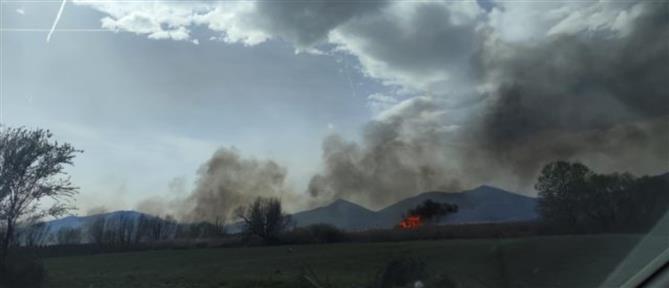 Φωτιά κοντά στη λίμνη Καστοριάς (εικόνες)