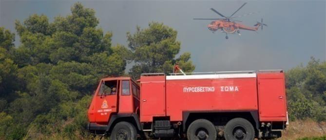 Σύμη: Φωτιά κοντά στην Ιερά Μονή Πανορμίτη